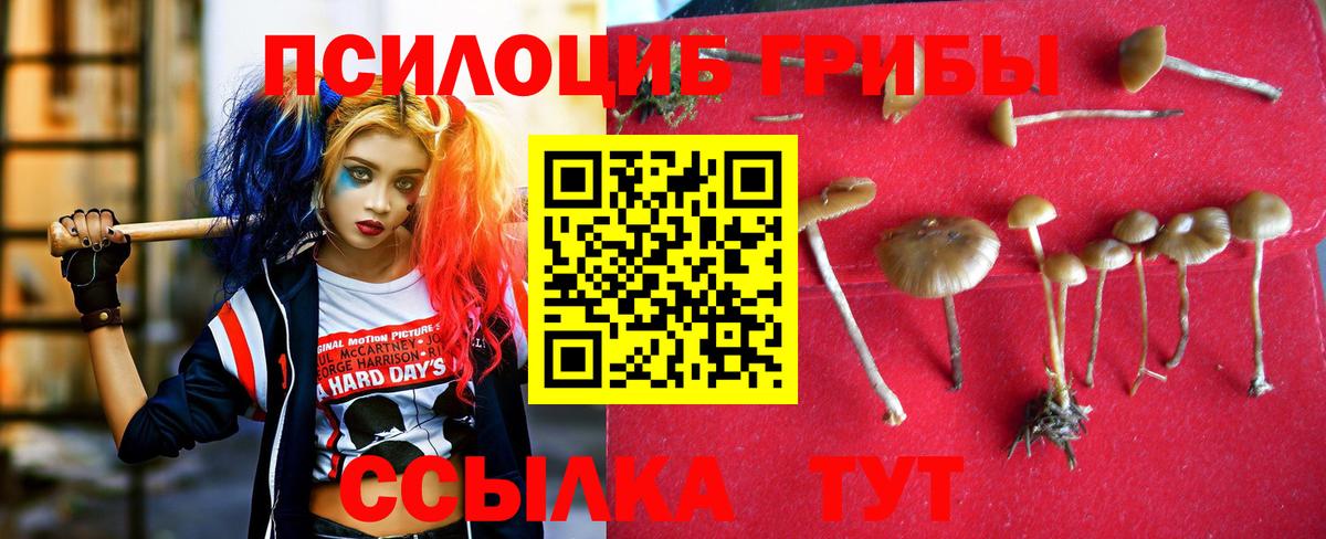Псилоцибиновые грибы GOLDEN TEACHER  где купить наркотик  Вход с VPN  Рубцовск  Галлюциногенные грибы мухоморы 